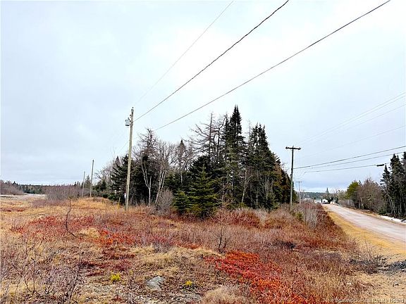 3rd image of Mink Brook Rd