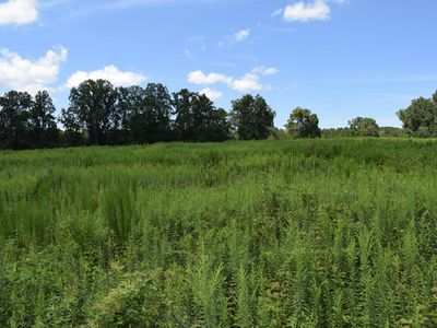 8141 Highway 357, Campobello, SC, 29322