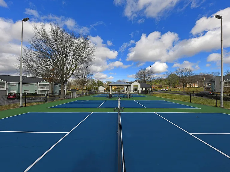 Pickle Ball Courts
