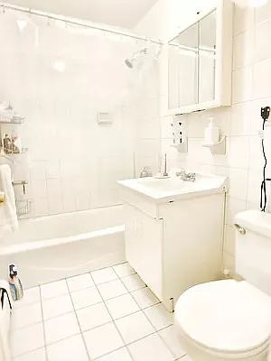 Rented by MAC Realty NY | media 8