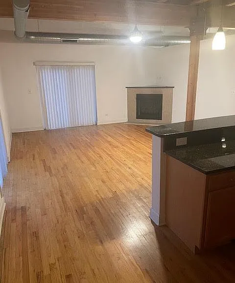 500 N Damen Ave #205 — Photo 4