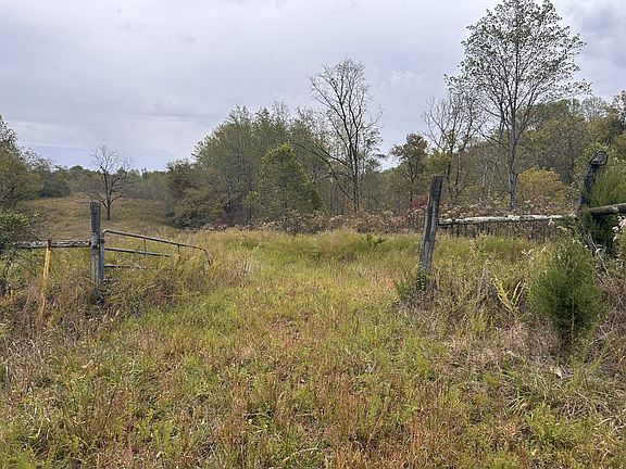 5th image of 567 Patch Ln
