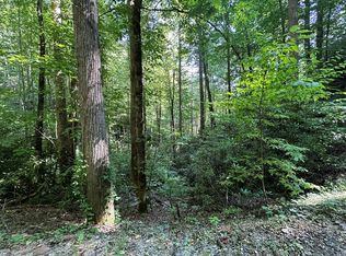 Briggs Cove Rd, Robbinsville, NC 28771