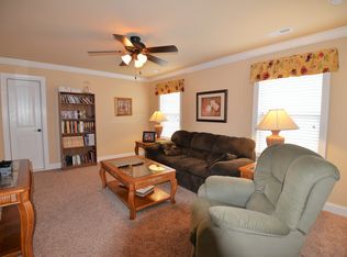 10691 Ferran Way, Apison, TN 37302