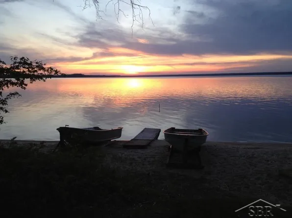 2978 W White Birch Rd, Moran, MI 49760