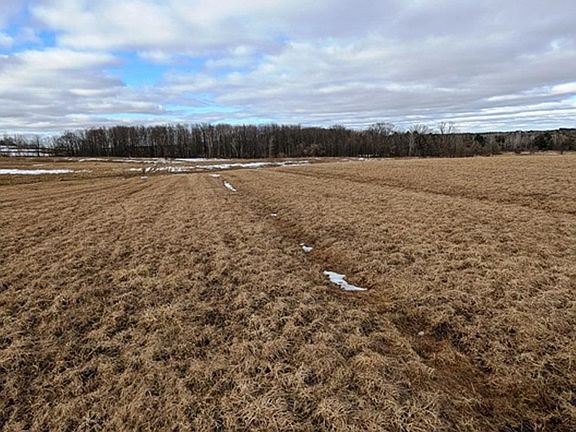 2nd image of Sec 11 CROW ROAD