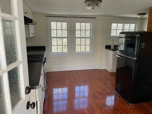 1 bed, 900 sqft, $1,595 — Photo 2