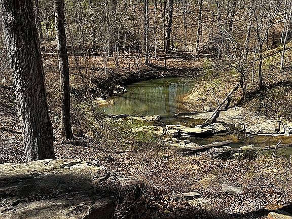3rd image of 2381 Grants Mill Rd