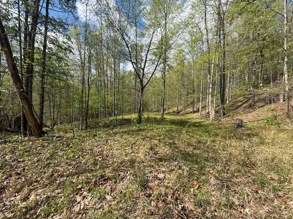 Quinnwood Ln, Gassaway, WV 26624