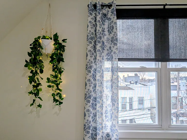 216 Dodd St #3 — Photo 11