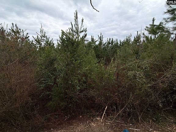 4th image of Bff Ii 4 Jc Barefoot Rd