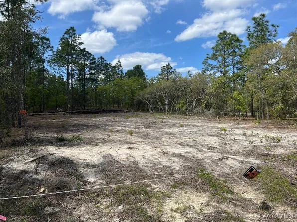 10848 SE 131st Ter, Dunnellon, FL 34431