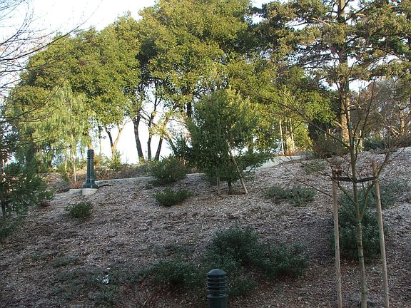 View from front door