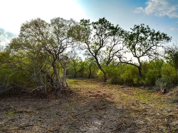 County Road 207, Tuleta, TX 78162