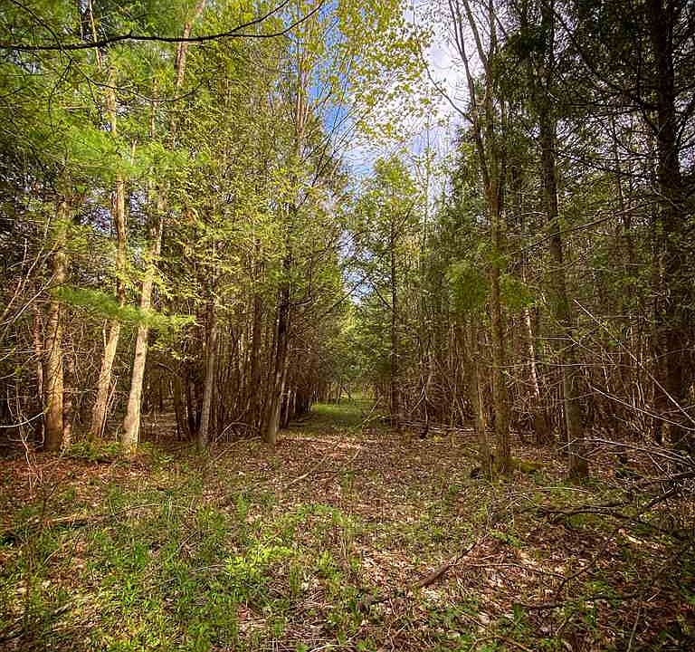 2nd image of 120 Ellis Rd