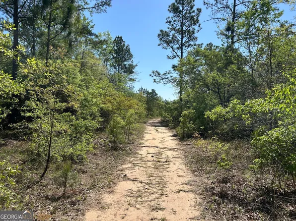 253 Apple Valley Rd, Macon, GA 31217