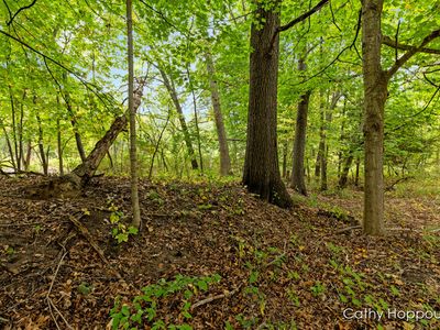 Par 1 E Blue Water Hwy, Muir, MI, 48860