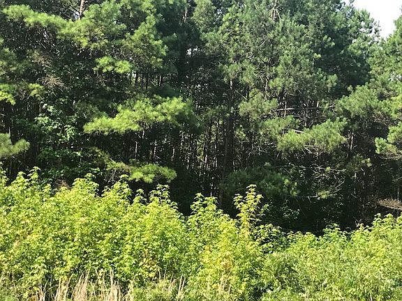 5th image of 40 Acres Hwy #7