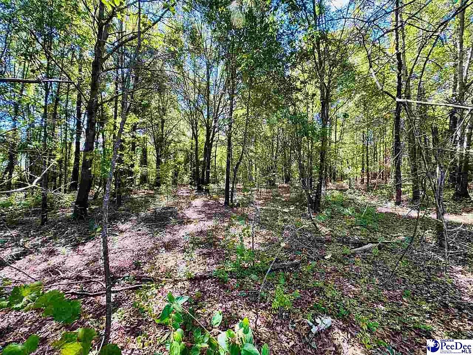 1st image of LOT 167 Brangus Ln