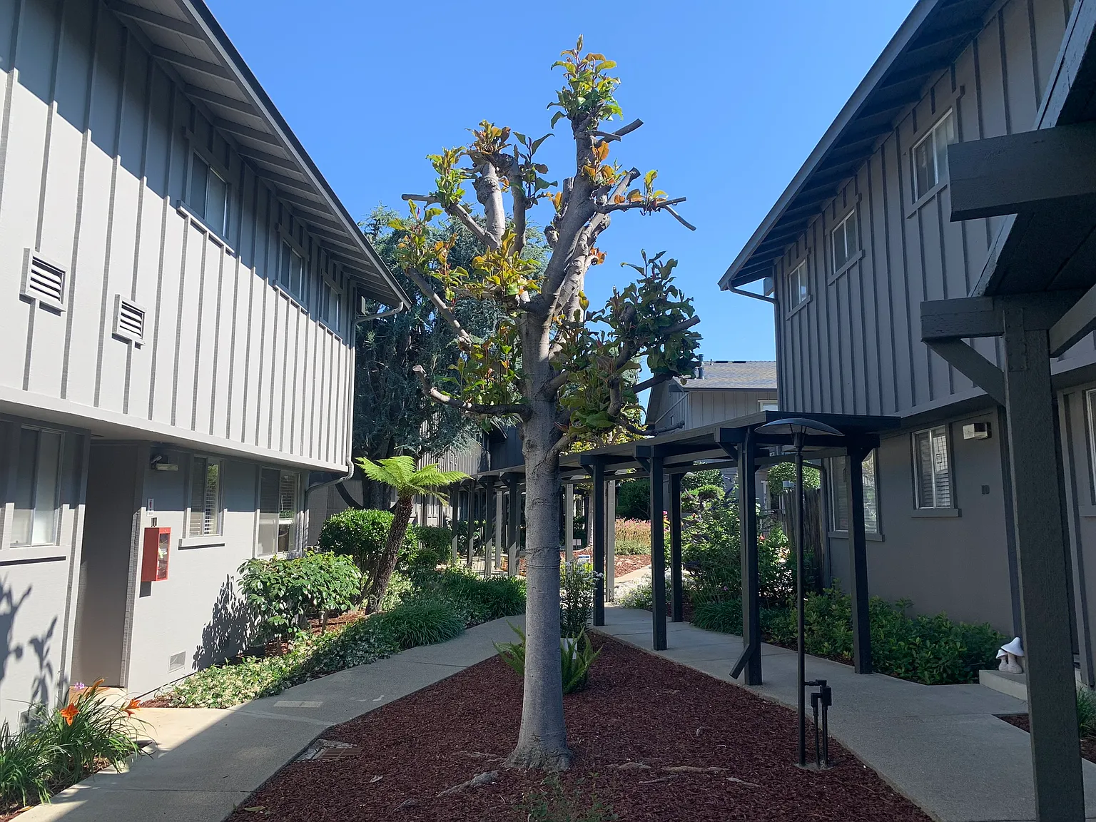 Pinehaven Garden Apartments — Photo 2