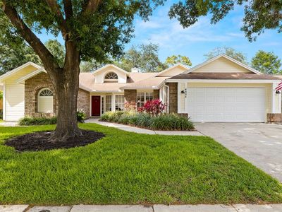 6225 Eaglebrook Ave, Tampa, FL, 33625