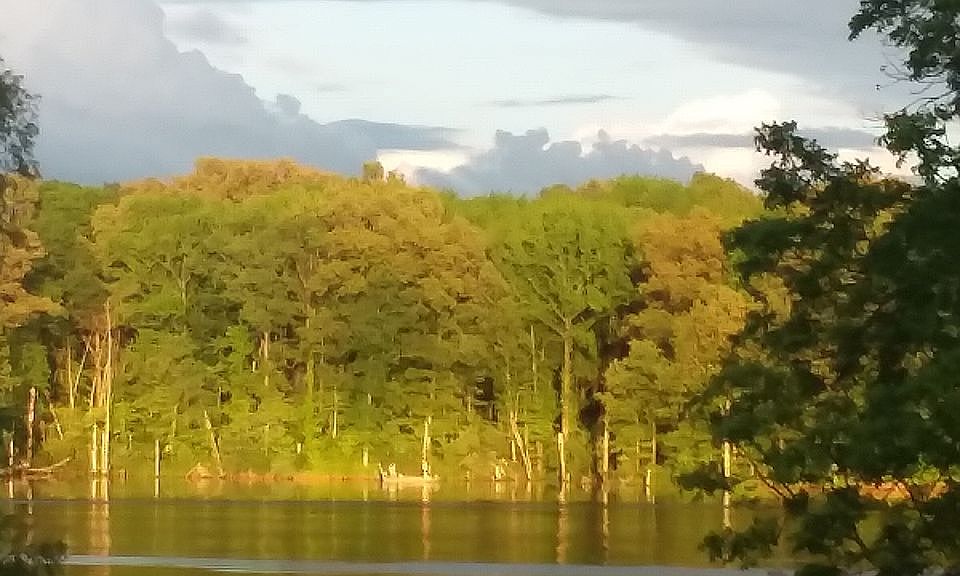 View of East with sun falling