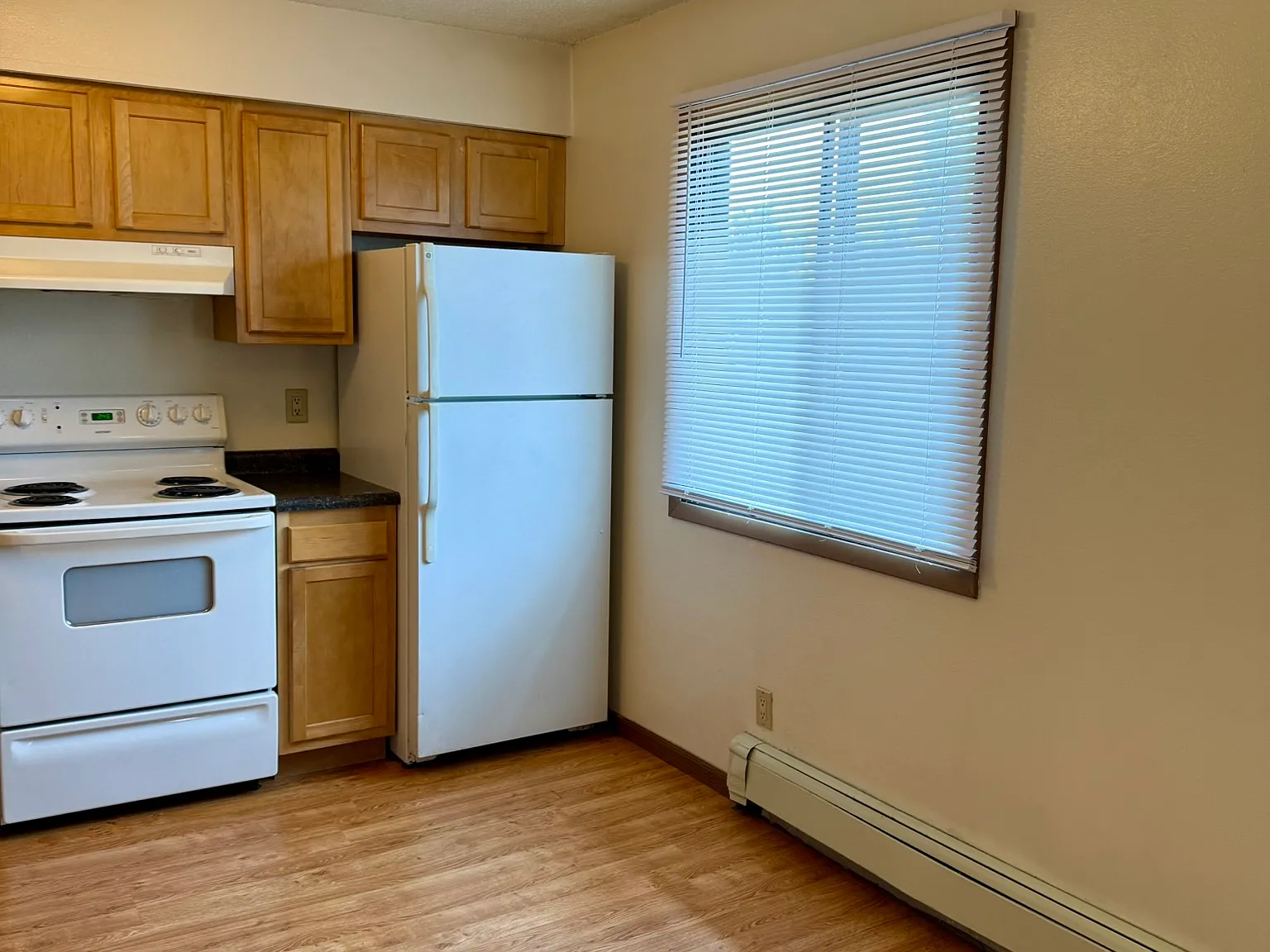 2 bed, $1,304 — Photo 3