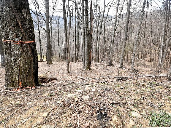 3rd image of 43 Marble Stone Dr