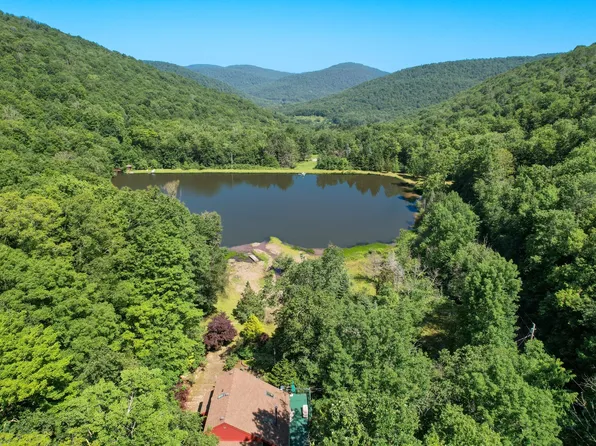 2560 Chiloway Rd, Roscoe, NY 12776