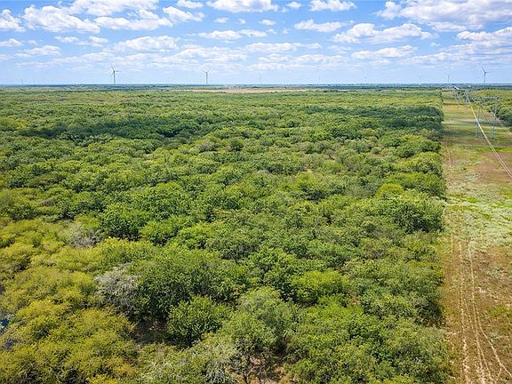 5th image of Zinnia Rd