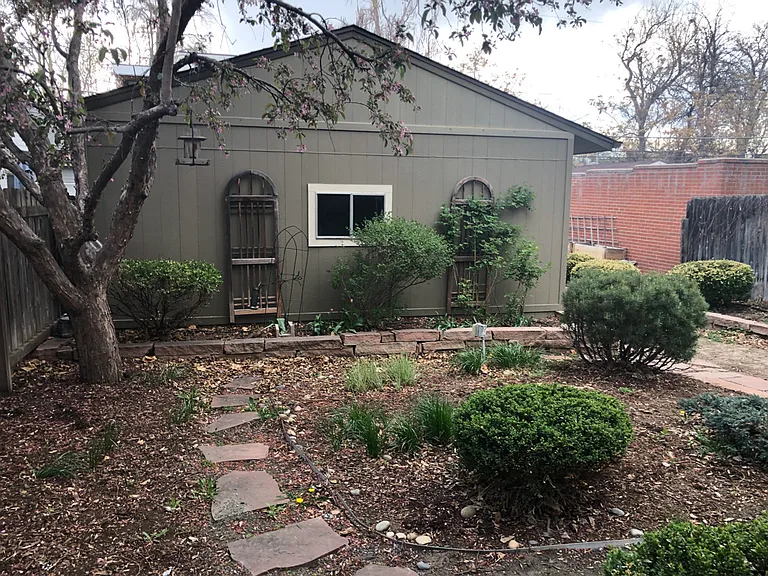 Backyard view