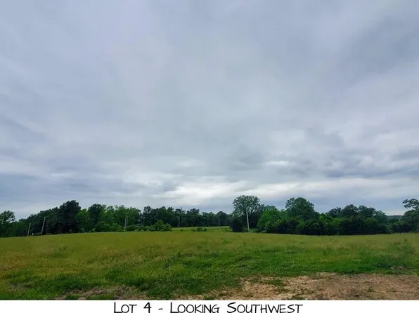 Lot 4 Pleasant View Rd, Brighton, MO 65617