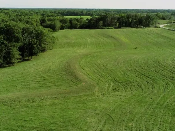 6 6.37 Co Rd #452, Curryville, MO 63339