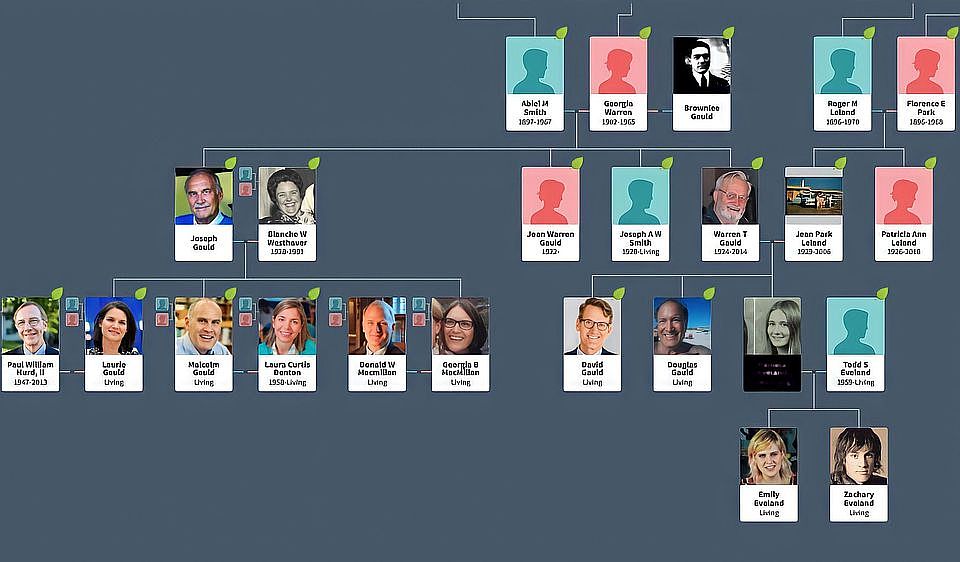 Gauld Family Cult