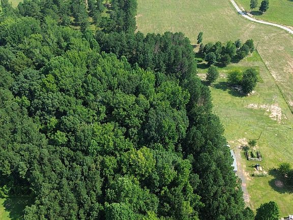 Back Half of Property