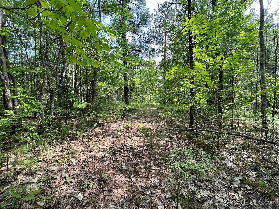 Powell Lake Rd, Wetmore, MI 49895 Zillow