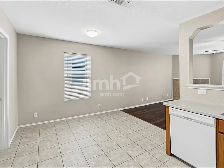 8438 Silver Brush — Photo 5