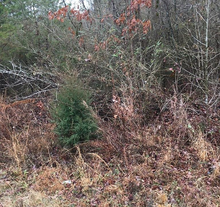 1st image of 0 Ten Mile Ln Lot 5