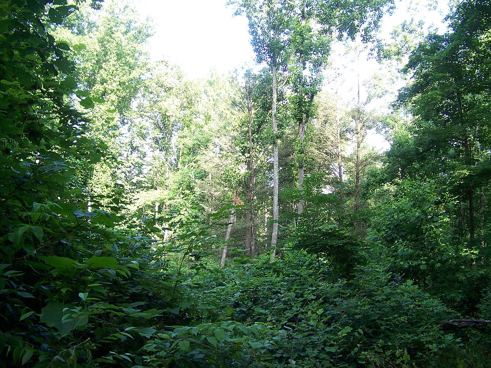 2nd image of 127 Big Bear Ln