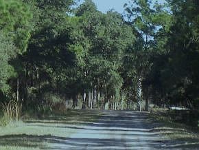 5th image of 1340 Deer Path Dr