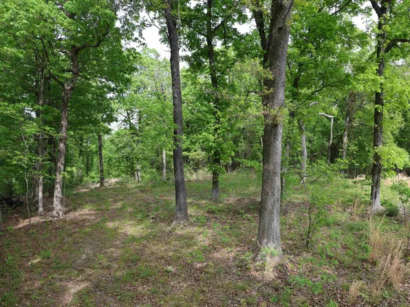 2 Plum Tree Trl, Norfork, AR 72658
