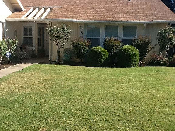 Front yard 