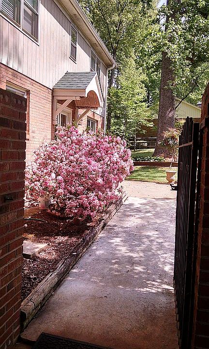 2nd image of 209 Sherwood Dr