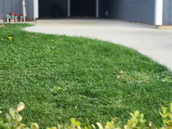 Front paved walk way entrance