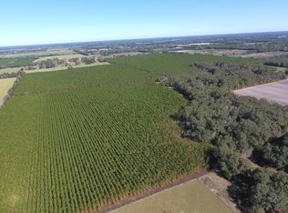 Tbd Sw Chopin Rd, Mayo, FL 32066