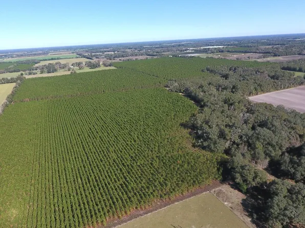 Tbd Sw Chopin Rd, Mayo, FL 32066