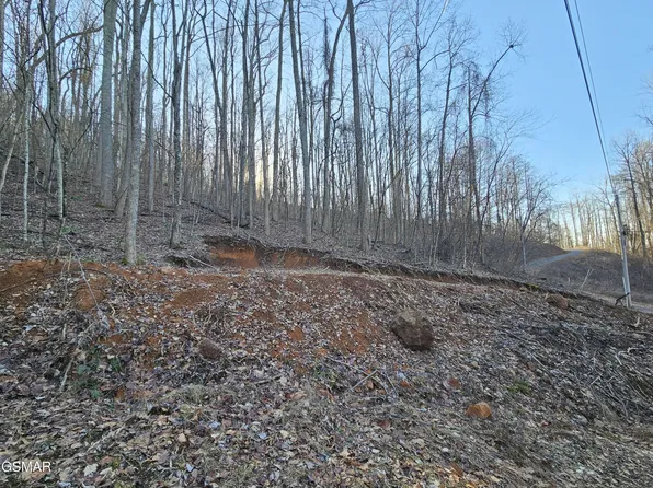 30 Grand Country Dr Lot 30, Cosby, TN 37722