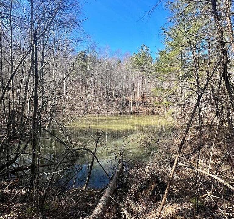 1st image of 9999 Ray Johnson Rd
