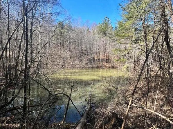 9999 Ray Johnson Rd, East Bernstadt, KY 40729