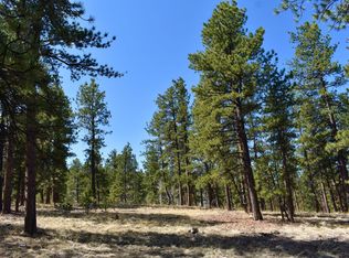 185 Sioux Trl, Westcliffe, CO 81252